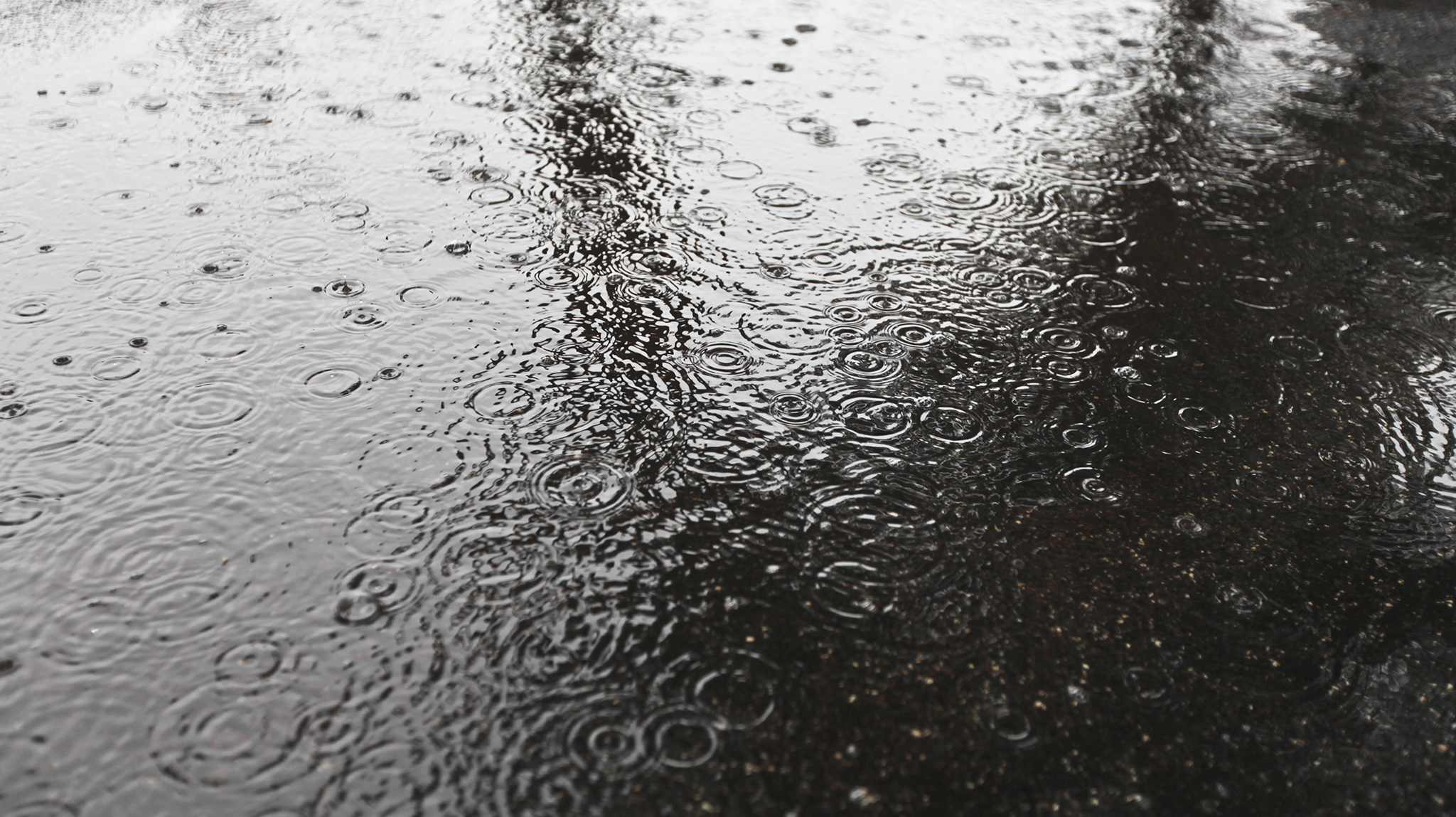 Allerta meteo